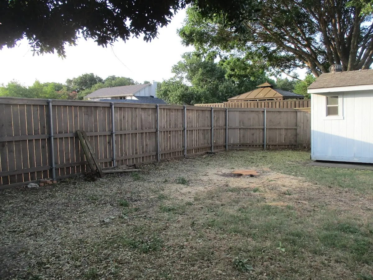Cleared yard after professional tree removal in Selma
